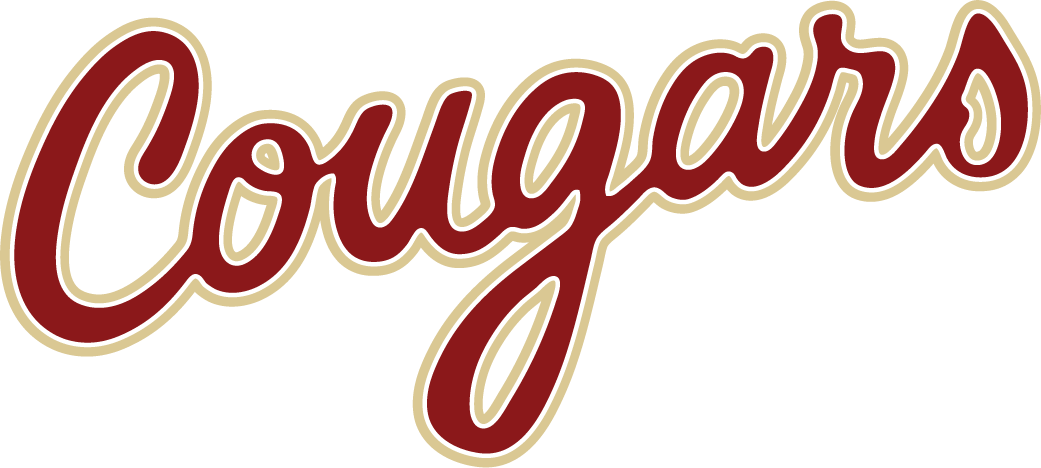 College of Charleston Cougars 2013-Pres Wordmark Logo v2 diy DTF decal sticker